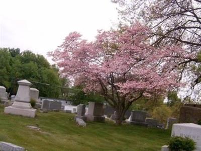 Brooksville Knights of Pythias Cemetery on Sysoon