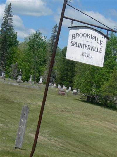 Brookvale Cemetery on Sysoon