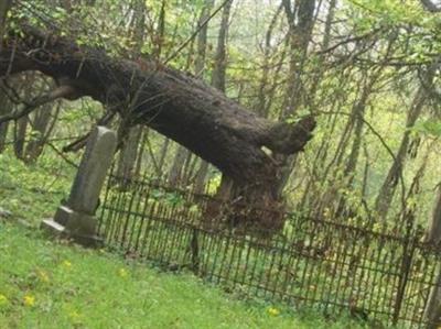 Brown Cemetery on Sysoon