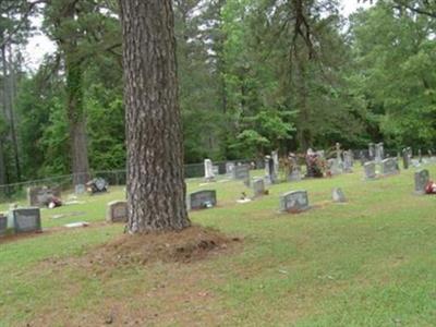 Brown Cemetery on Sysoon