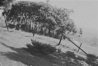 Brown Family Cemetery on Sysoon