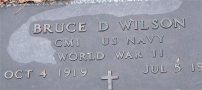 Bruce D Wilson on Sysoon