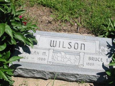 Bruce E. Wilson on Sysoon