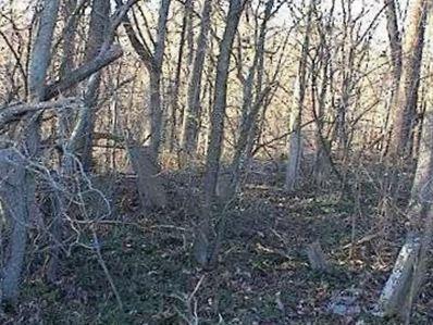 Brumbaugh Cemetery (Newberry Township) on Sysoon