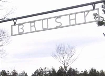 Brushy Cemetery on Sysoon