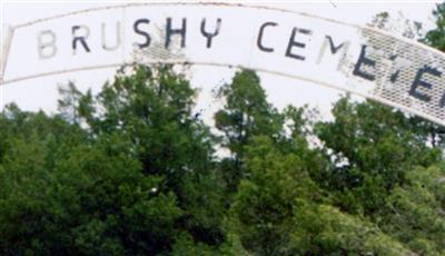 Brushy Cemetery on Sysoon