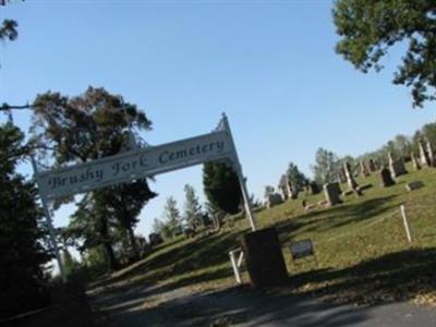 Brushy Fork Cemetery on Sysoon