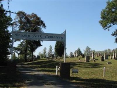 Brushy Fork Cemetery on Sysoon