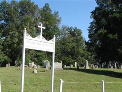 Brushy Fork Cemetery on Sysoon