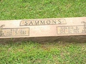 Bud Cassius Sammons on Sysoon