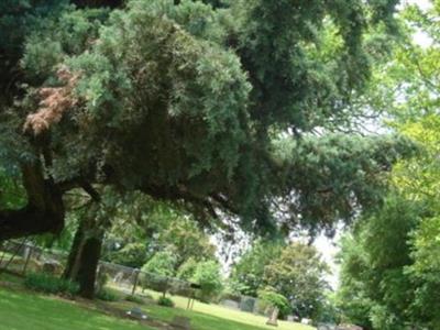 Buie Cemetery on Sysoon