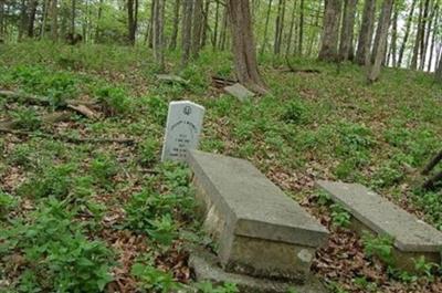 Burnett Family Burial Grounds on Sysoon