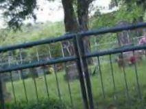 Butler Ford Cemetery on Sysoon