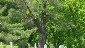 Caledonia Cemetery on Sysoon