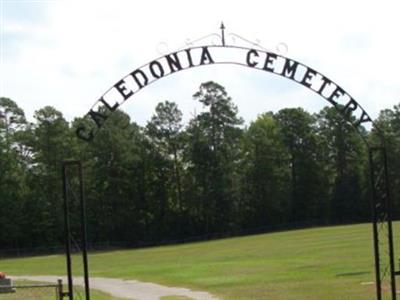 Caledonia Cemetery on Sysoon