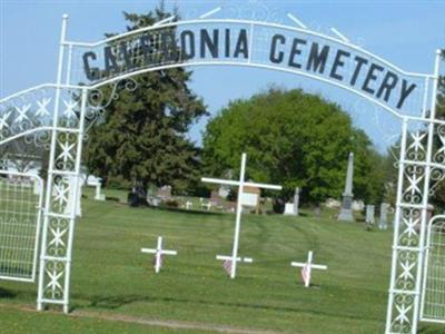 Caledonia Cemetery on Sysoon