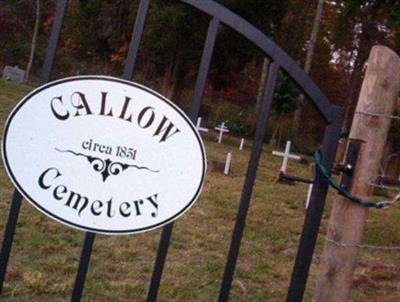 Callow Cemetery on Sysoon