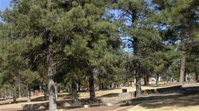 Calvary Cemetery on Sysoon