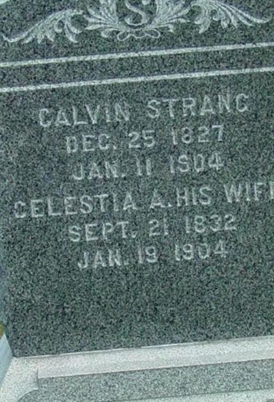Calvin Strang on Sysoon