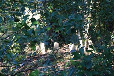 Canady Family Cemetery on Sysoon