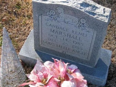 Candace Renee Marshall on Sysoon
