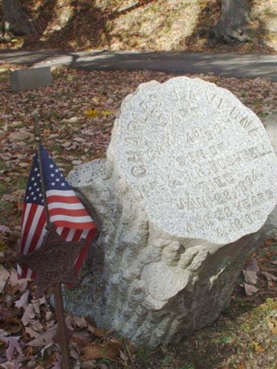 Capt Charles LaVerne Bushnell on Sysoon