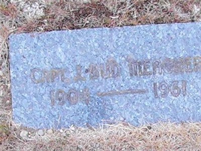 Capt J "Bud" Meagher on Sysoon