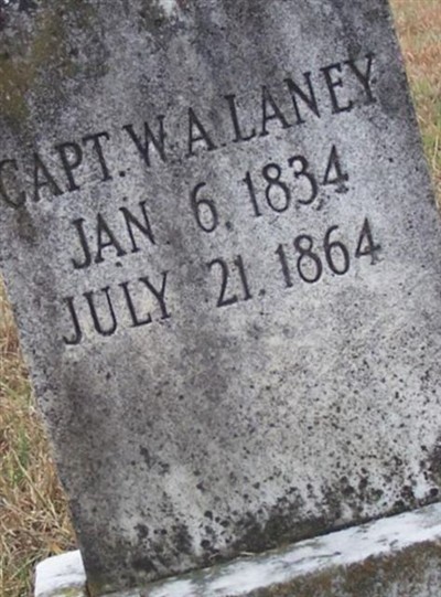 Capt William Adam Laney on Sysoon