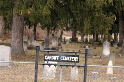 Cardiff Cemetery on Sysoon