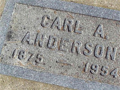 Carl A Anderson on Sysoon
