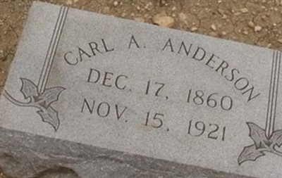 Carl A Anderson on Sysoon