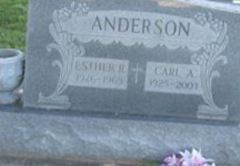 Carl A. Anderson on Sysoon