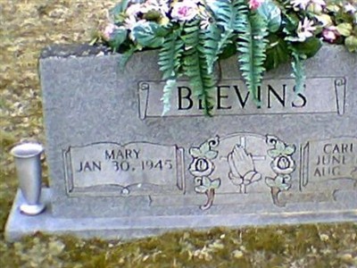 Carl Bud Blevins on Sysoon