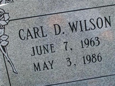 Carl D Wilson on Sysoon