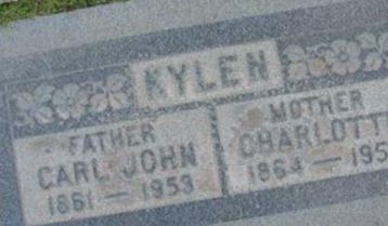 Carl Johan Kylen on Sysoon