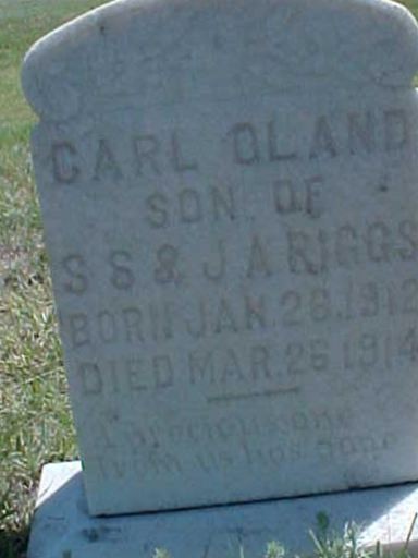 Carl Orland Riggs on Sysoon