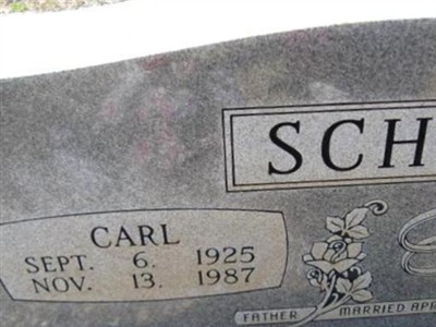 Carl Schmidt on Sysoon