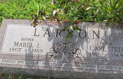 Carl "Ted" Larson on Sysoon