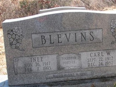 Carl W. Blevins on Sysoon