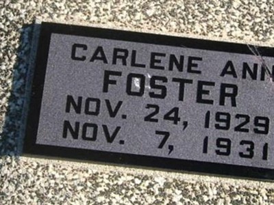 Carlene Ann Foster on Sysoon