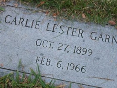 Carlie Lester Garner on Sysoon