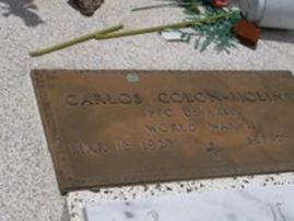 . Carlos Colon Molina on Sysoon