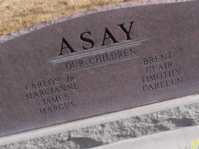 Carlos Egan Asay on Sysoon