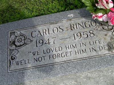 Carlos Ringo on Sysoon