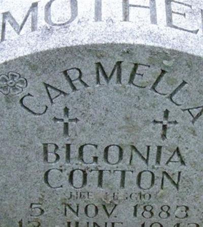 Carmella Bigonia Leggio Cotton on Sysoon