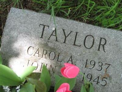 Carol A Taylor on Sysoon