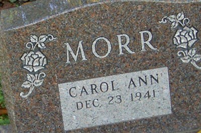 Carol Ann Esbenshade Morr on Sysoon