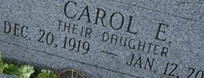 Carol E. Traxel on Sysoon