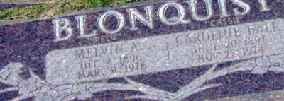 Caroline Cassie Ball Blonquist on Sysoon