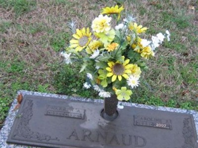Caroline E. Arnaud on Sysoon
